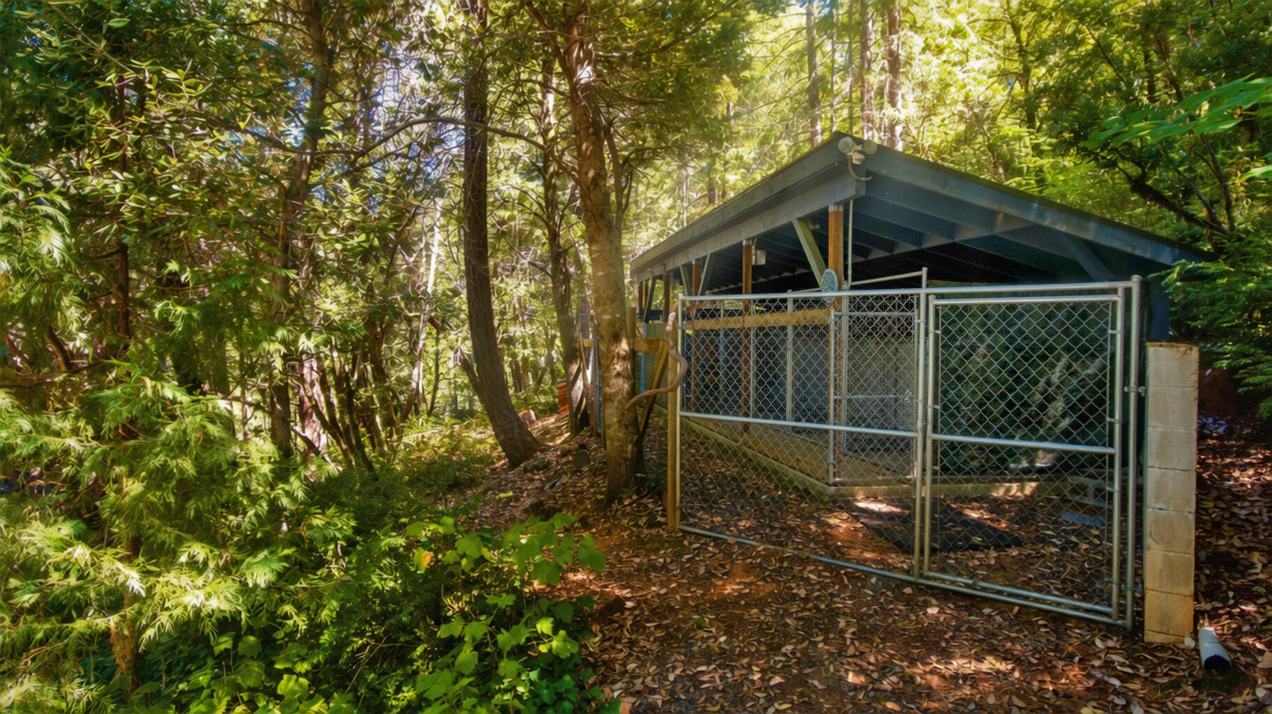 4901 Thompson Creek Road Selma, OR 97538 - Photo 20 of 25 dog kennel