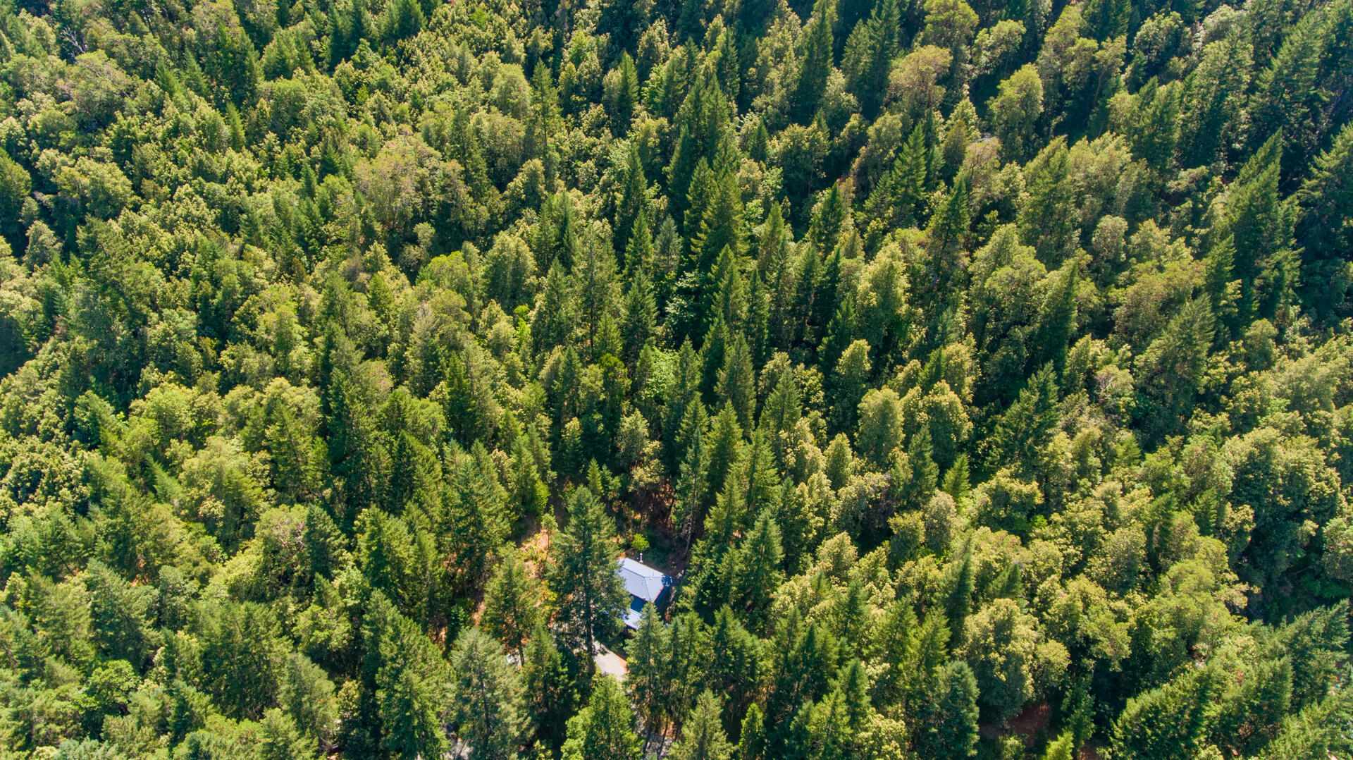 4901 Thompson Creek Road Selma, OR 97538 - Photo 23 of 25 High Up