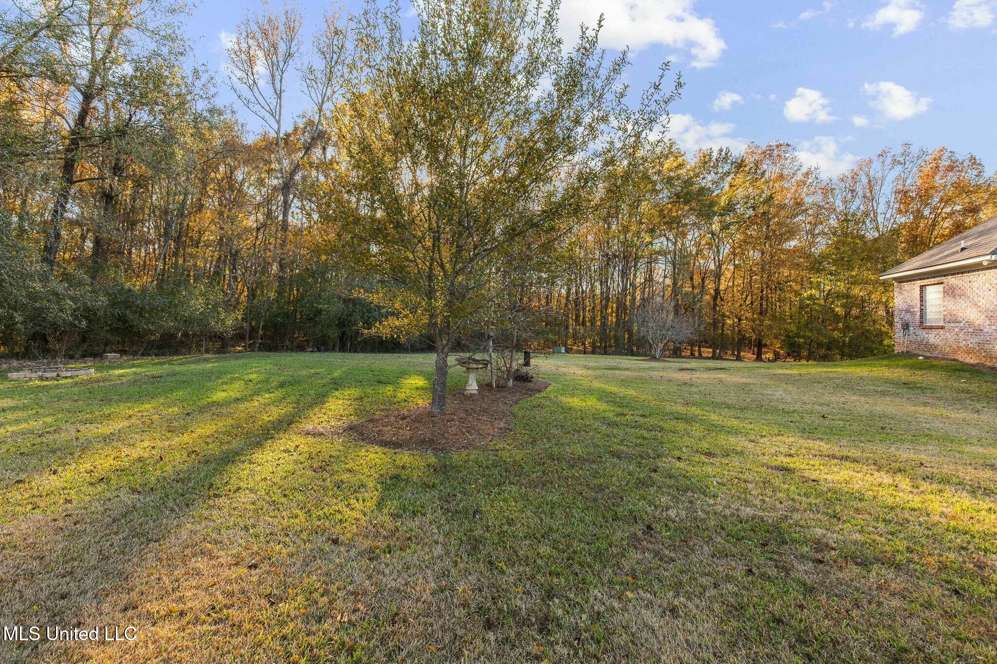 215 Sunset Circle Madison, MS 39110 - Photo 51 of 63 tempImageQrVscf