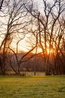 $1,100,000 | 3017 Blythe Meadow Lane, Arrington, TN 37014