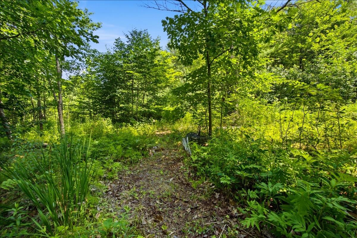 714 Mt Pisgah Road Winthrop, ME 04364 - Photo 92 of 94 015-DSC06065