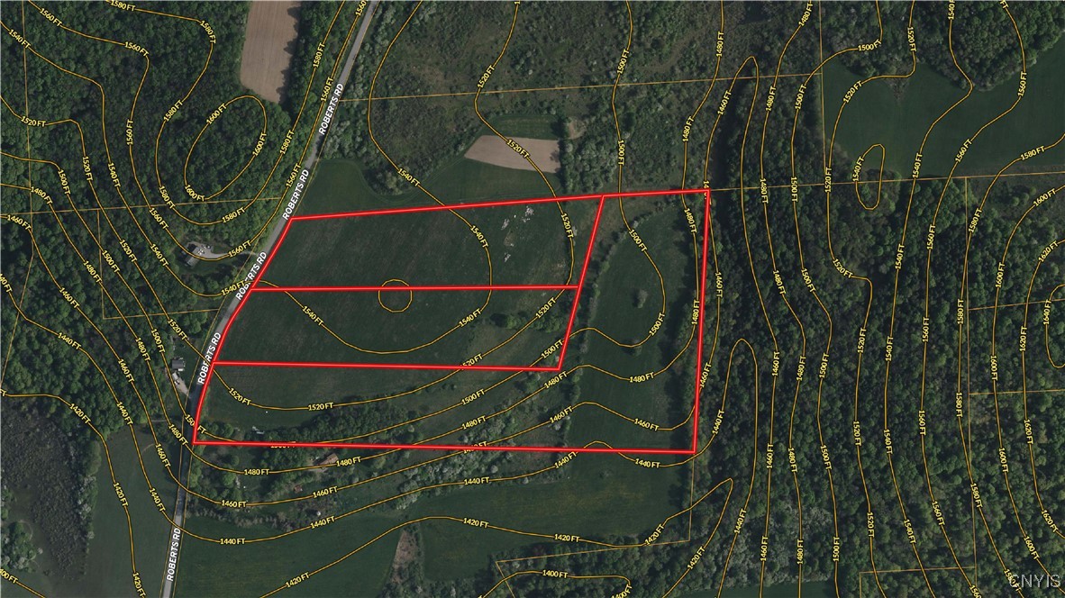 Roberts Road Eaton, NY 13334 - Photo 2 of 2