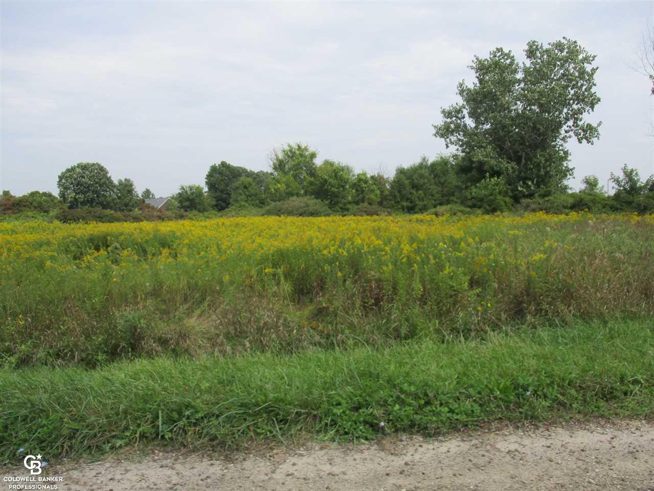 0 Cryderman Road, Unit 1 Richmond, MI 48062 - Photo 6 of 10