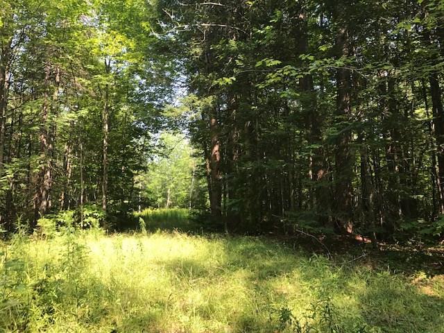 56 Covered Bridge Road Guilford, ME 04443 - Photo 3 of 15 Photo