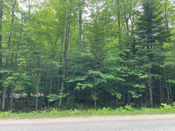 $35,000 | Parcel A West Smith Lake Drive, Manistique, MI 49854