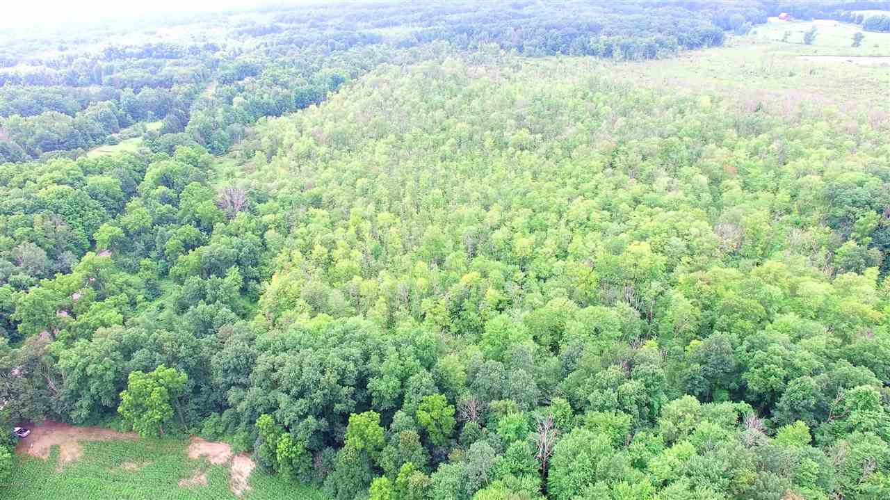 Savage Road Jones, MI 49061 - Photo 6 of 10