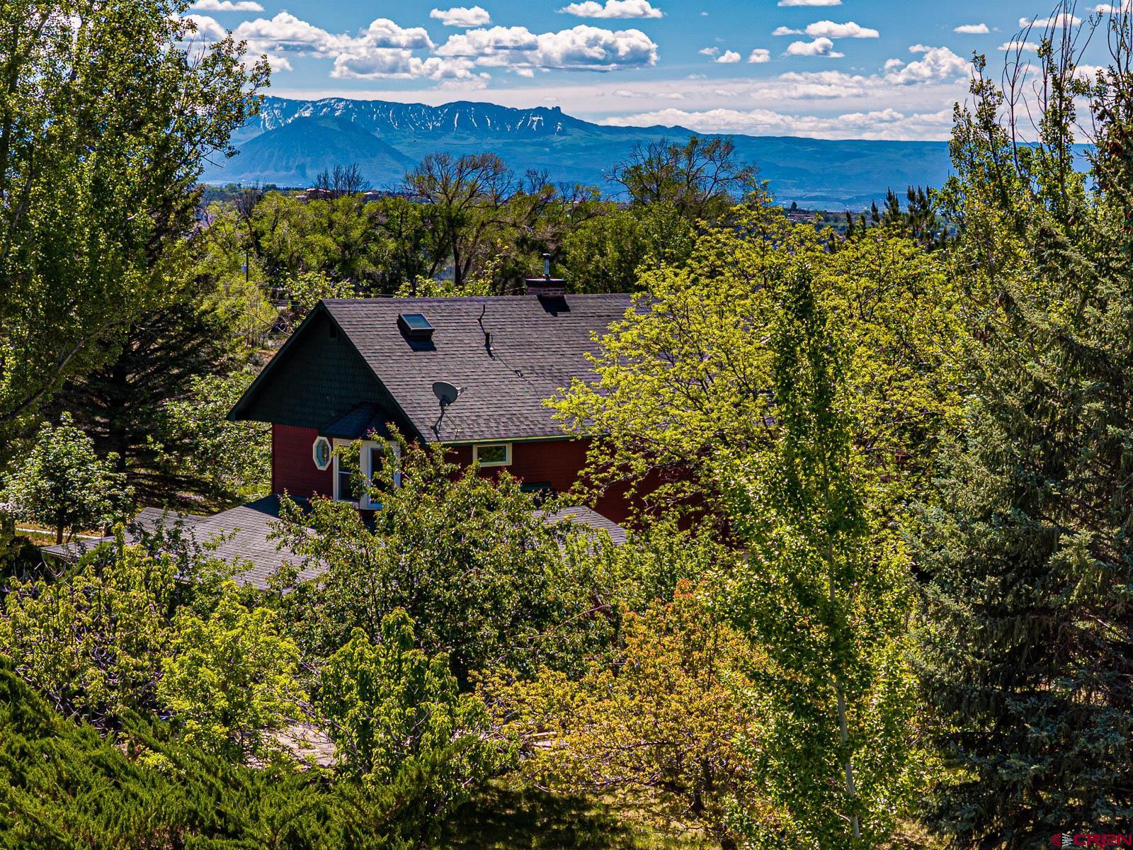 16331 2550th Road Cedaredge, CO 81413 - Photo 7 of 45 an aerial view of a house
