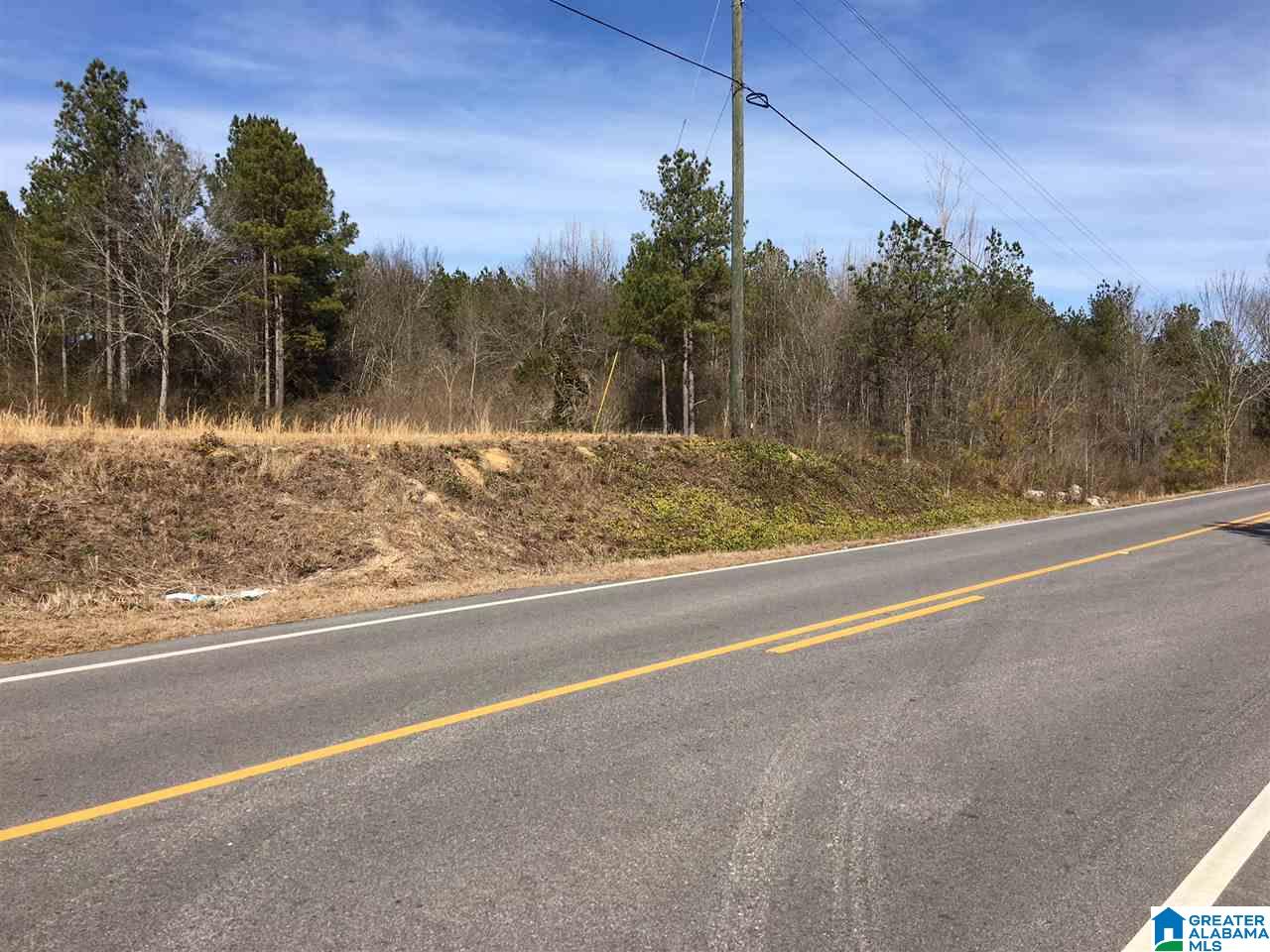 0 Shoal Creek Road, Unit 10 AC Ashville, AL 35953 - Photo 3 of 13