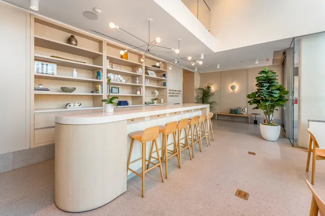 a dining room with furniture and a potted plant
