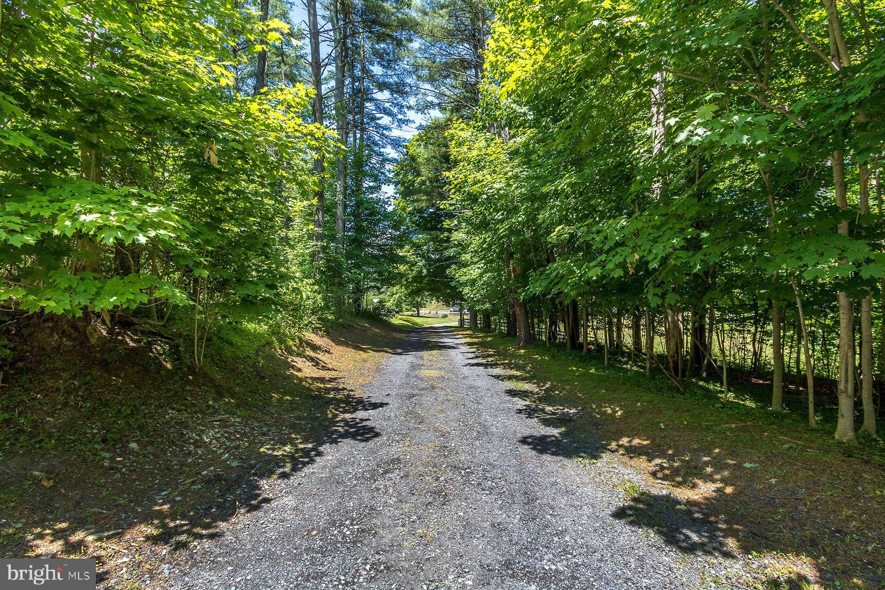 655 Kintner Road Kintnersville, PA 18930 - Photo 22 of 47 Driveway
