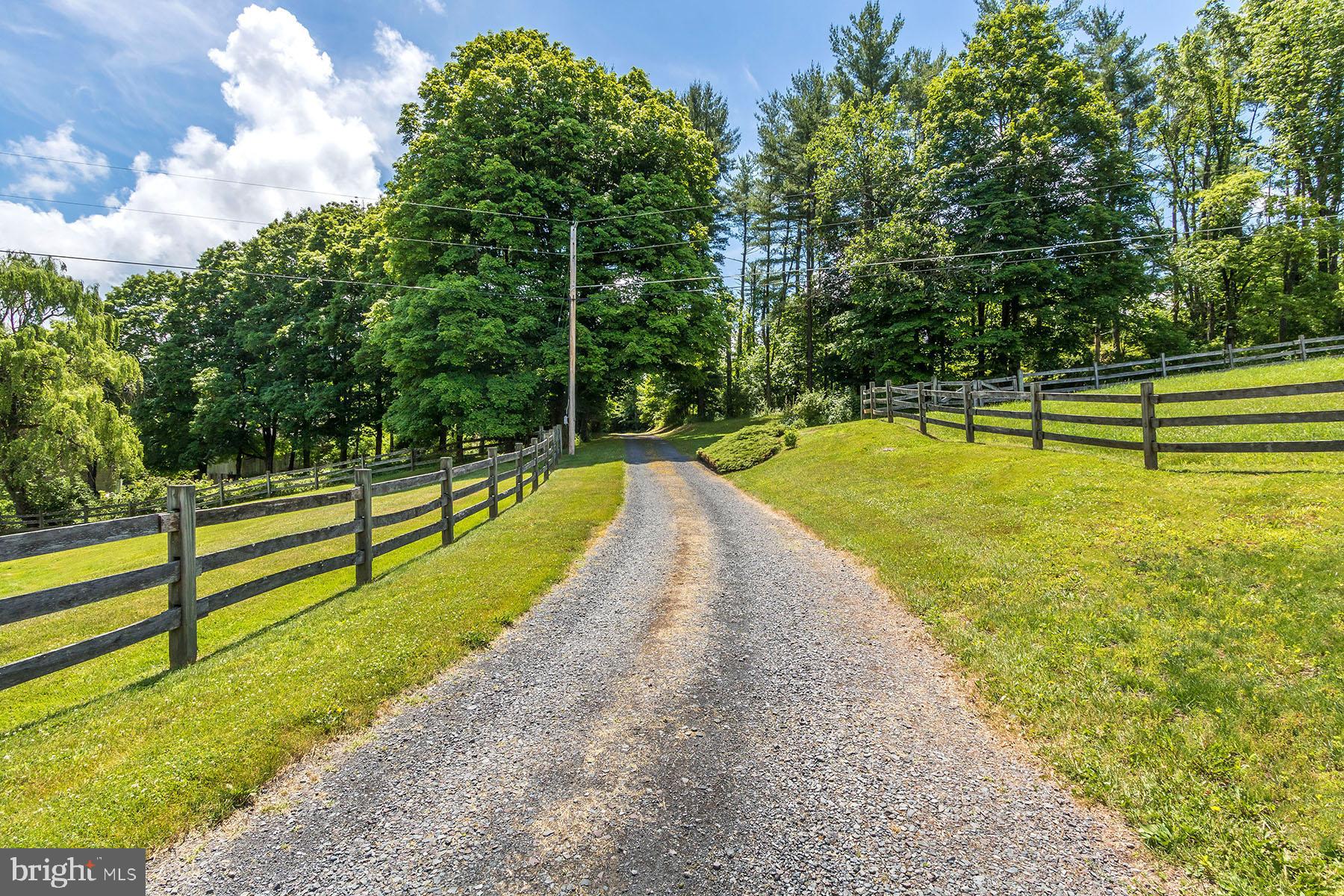 655 Kintner Road Kintnersville, PA 18930 - Photo 23 of 47 Driveway