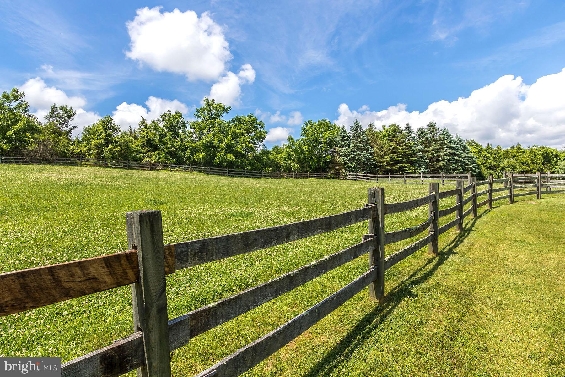 655 Kintner Road Kintnersville, PA 18930 - Photo 24 of 47 Field/Paddock