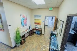 a room with furniture and a potted plant