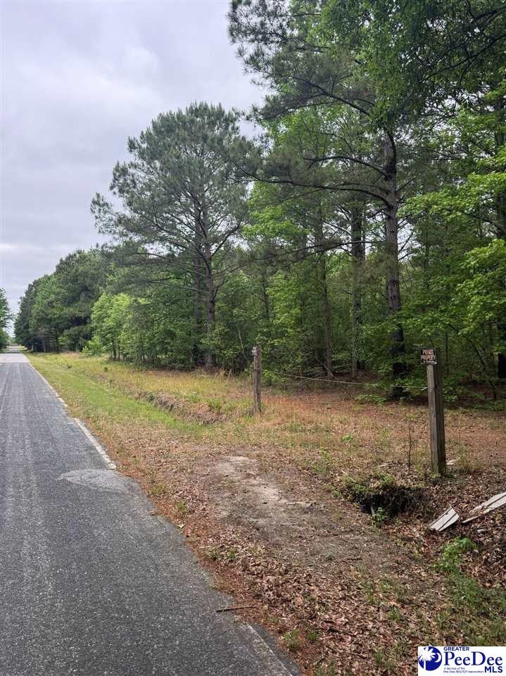 Daniel Chapel Road McColl, SC 29570 - Photo 10 of 42 Gallery Image 10