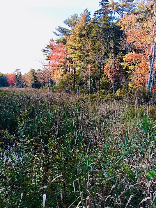 Off Pleasant Point Road Cushing, ME 04563 - Photo 27 of 28 0-32