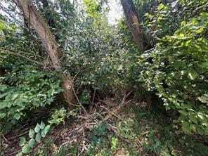 0 Songo Pittsburgh, PA 15227 - Photo 7 of 14 a view of a forest with a tree