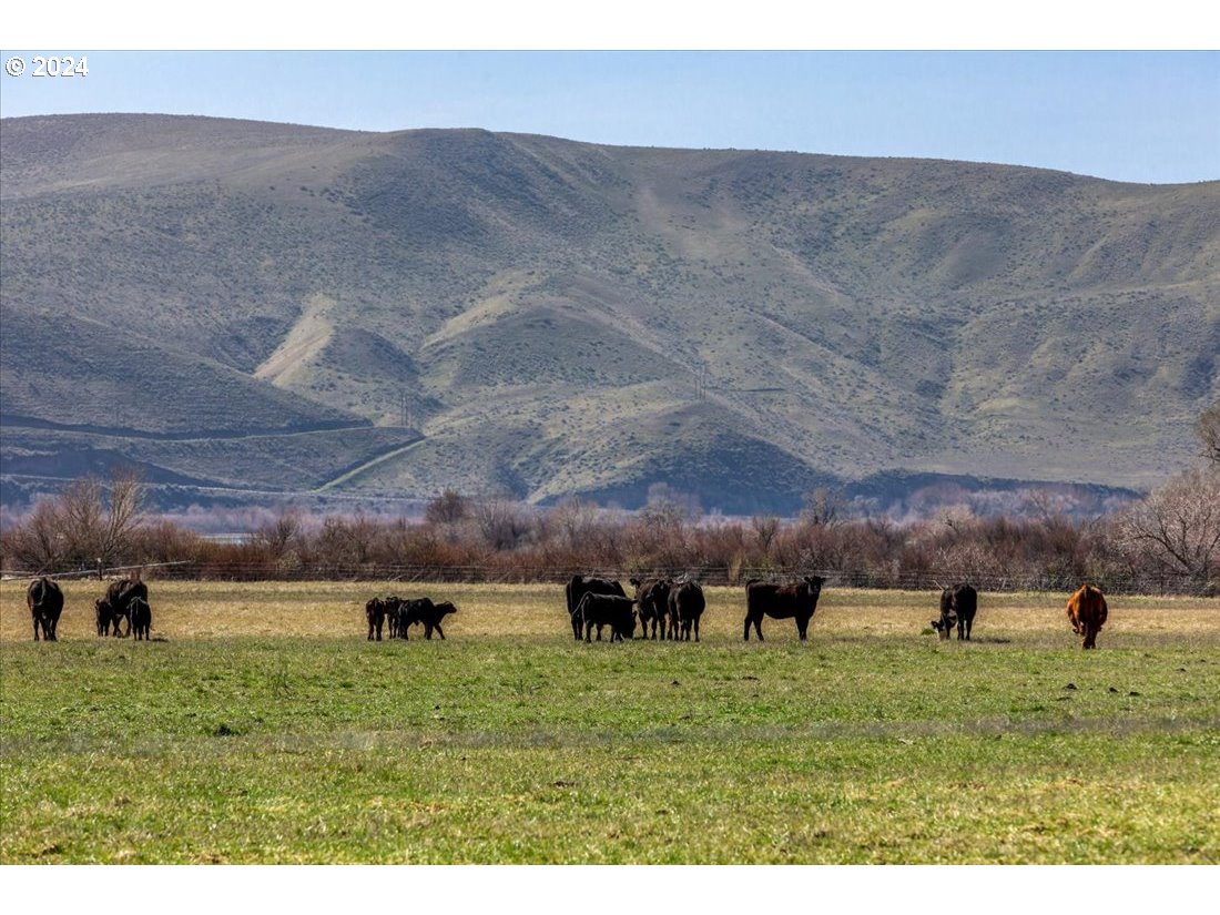 5645 Highway 201 Ontario, OR 97914 - Photo 3 of 32 a view of a backyard
