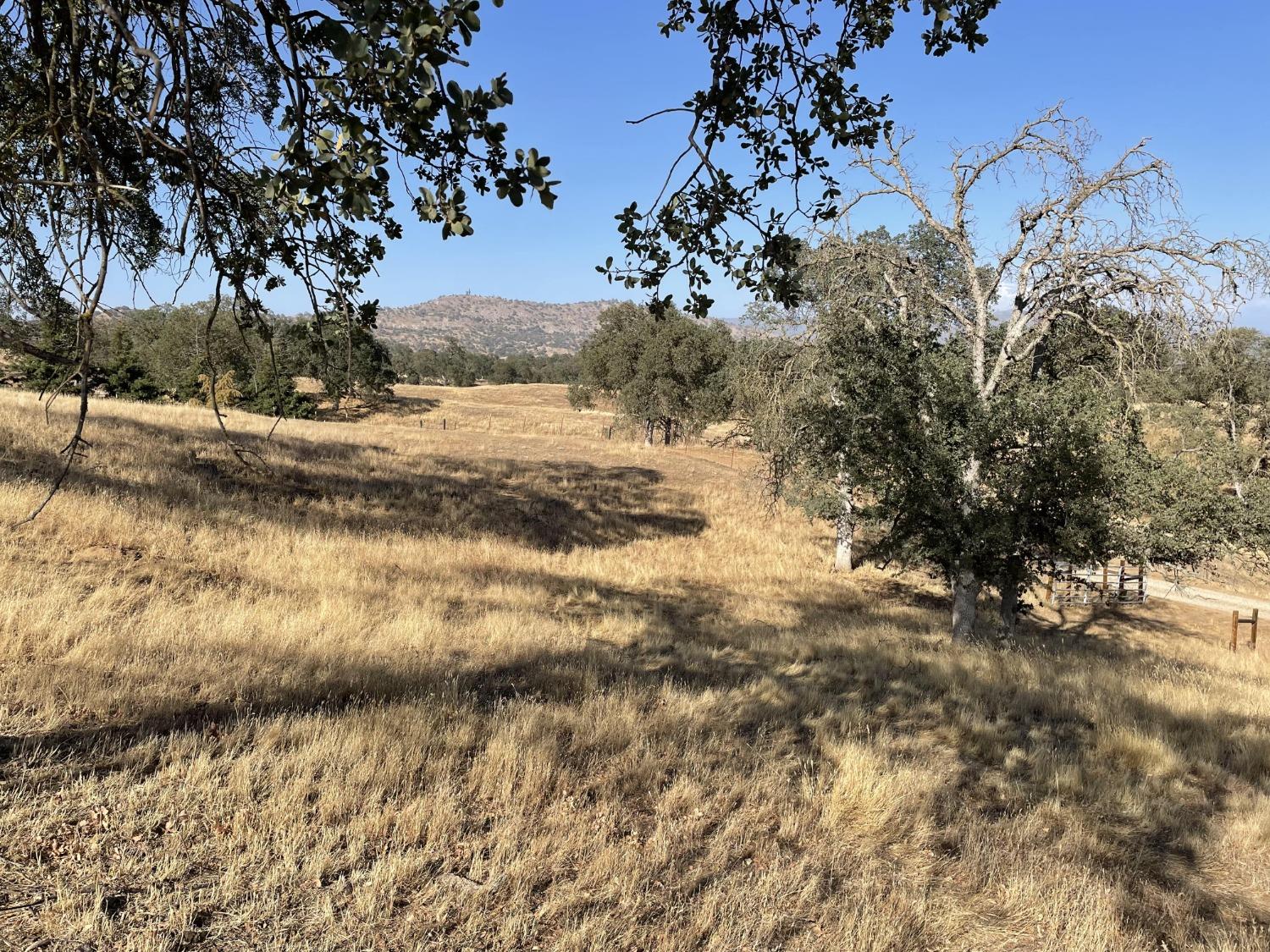 0 Millerton Road Clovis, CA 93619 - Photo 7 of 11 Gallery Image 7