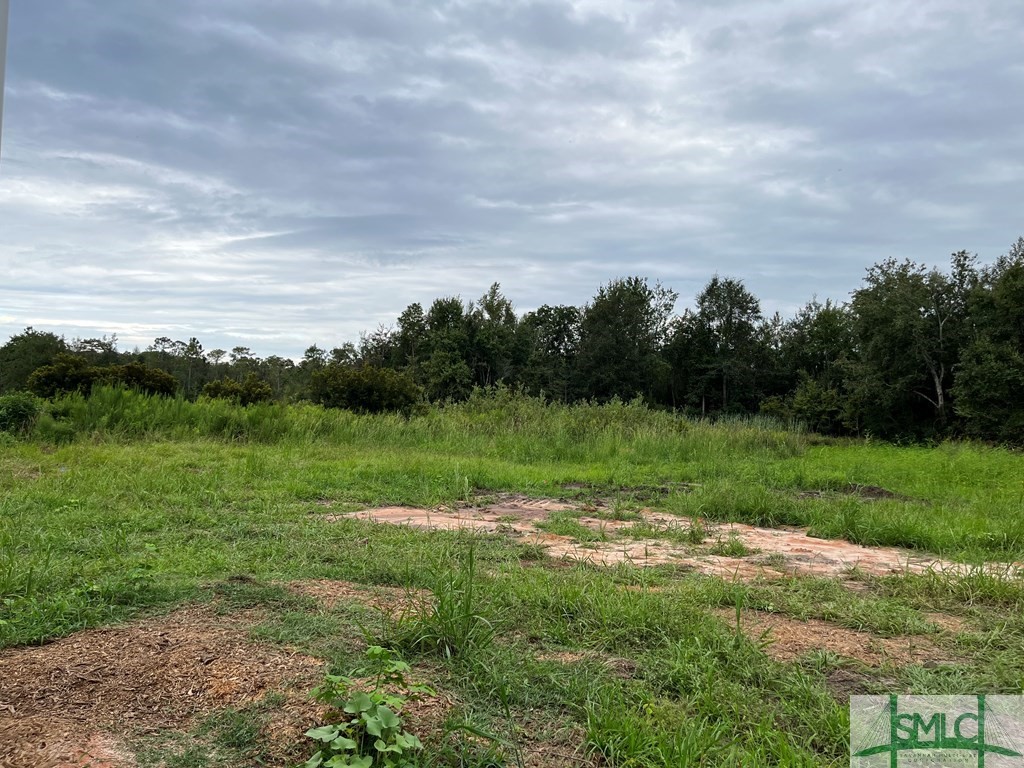 584 Rufus Davis Road Northeast Ludowici, GA 31316 - Photo 2 of 20 Gallery Image 2