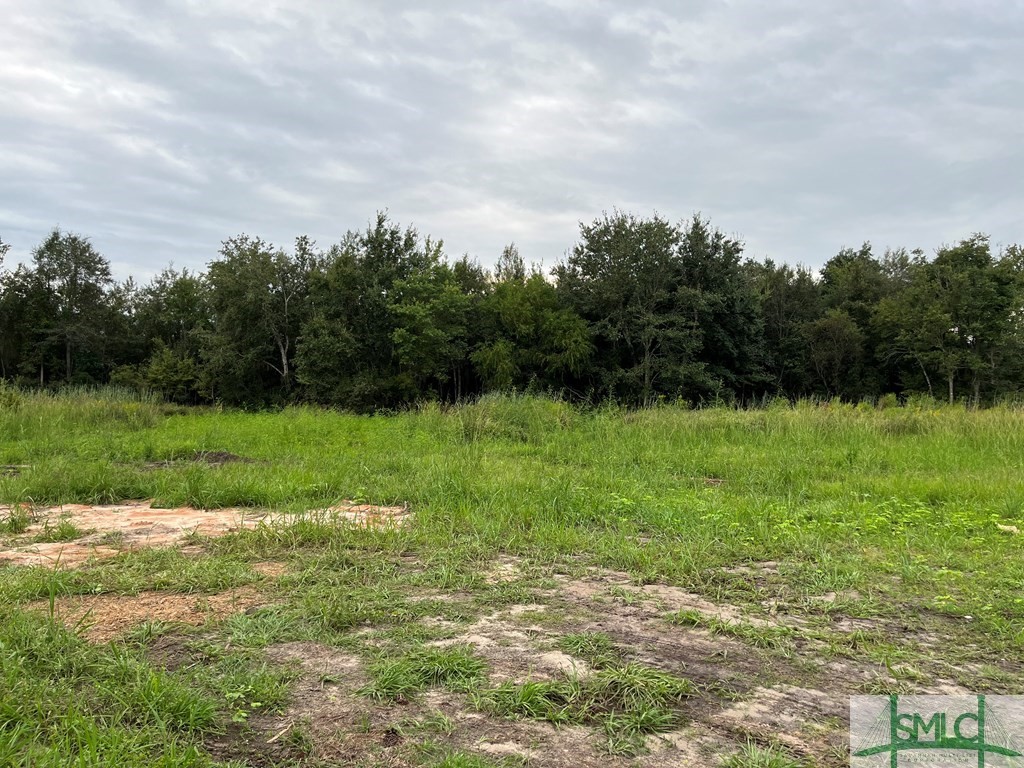 584 Rufus Davis Road Northeast Ludowici, GA 31316 - Photo 3 of 20 Gallery Image 3