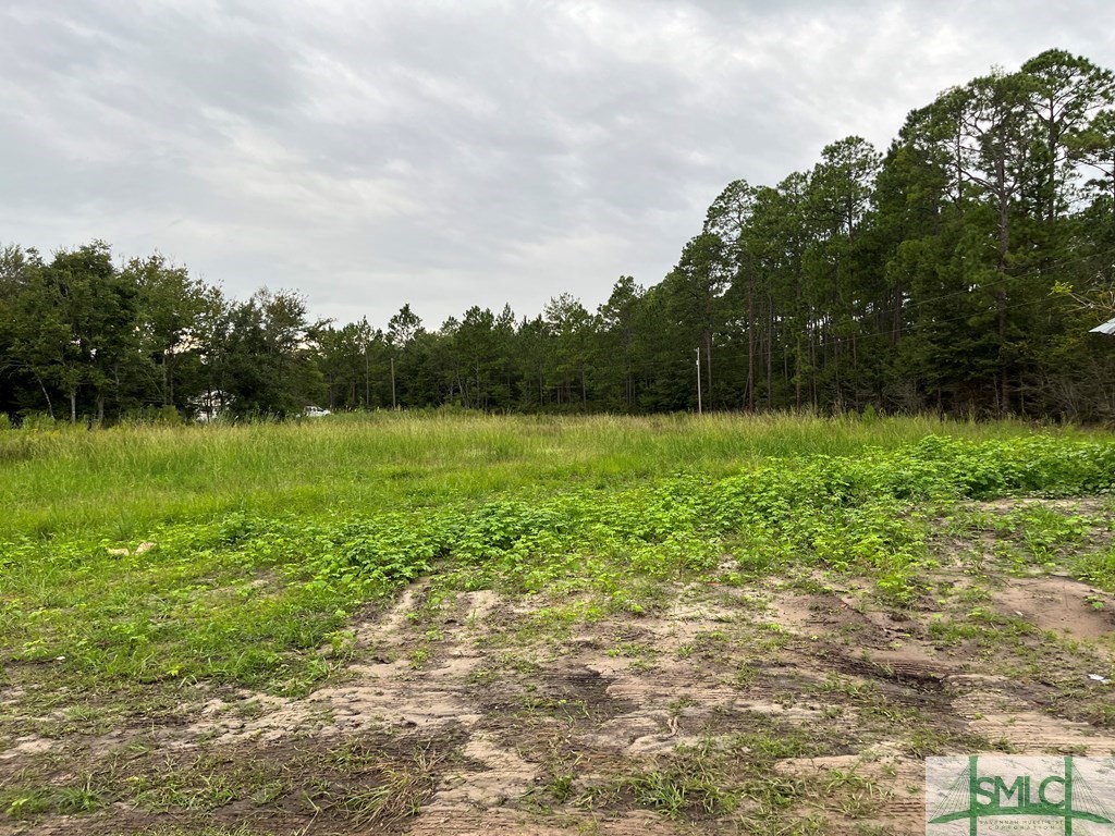 584 Rufus Davis Road Northeast Ludowici, GA 31316 - Photo 4 of 20 Gallery Image 4