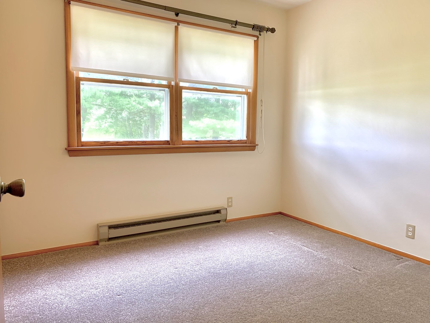 3460 Whitetie Road Morris, IL 60450 - Photo 12 of 49