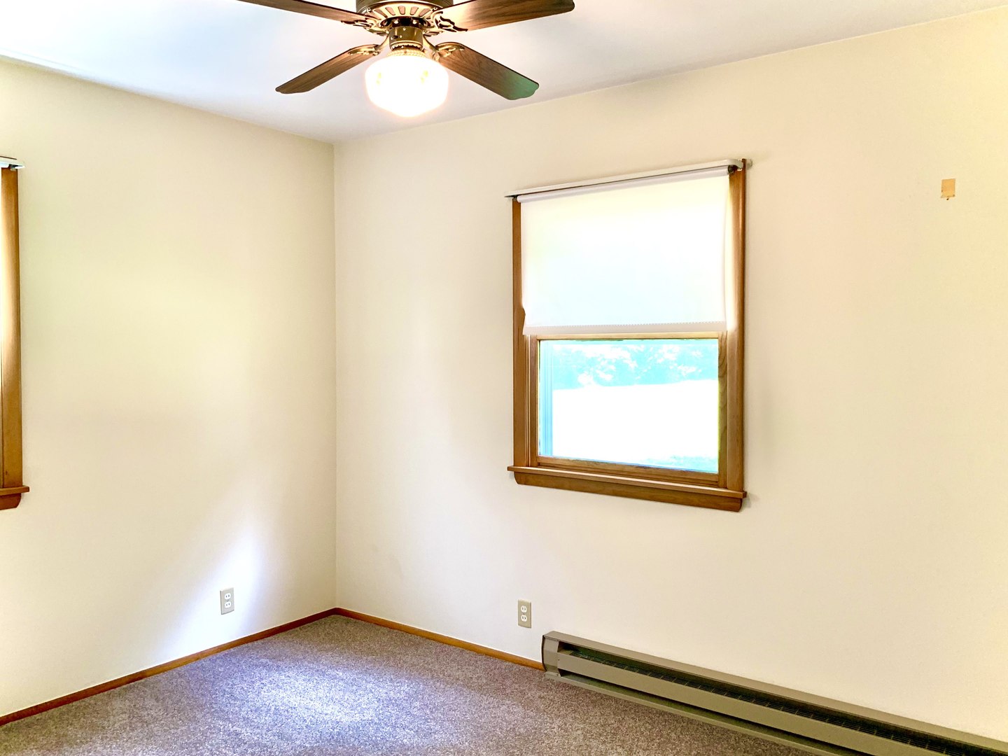 3460 Whitetie Road Morris, IL 60450 - Photo 14 of 49