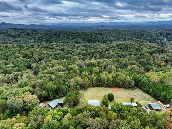 a view of a city and green space