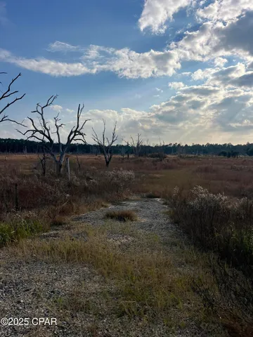 $13,900 | 2191 Rolling Pines Road, Chipley, FL 32428