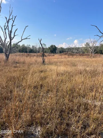 $13,900 | 2191 Rolling Pines Road, Chipley, FL 32428