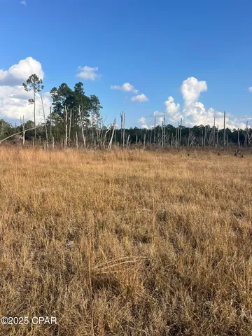 $13,900 | 2191 Rolling Pines Road, Chipley, FL 32428