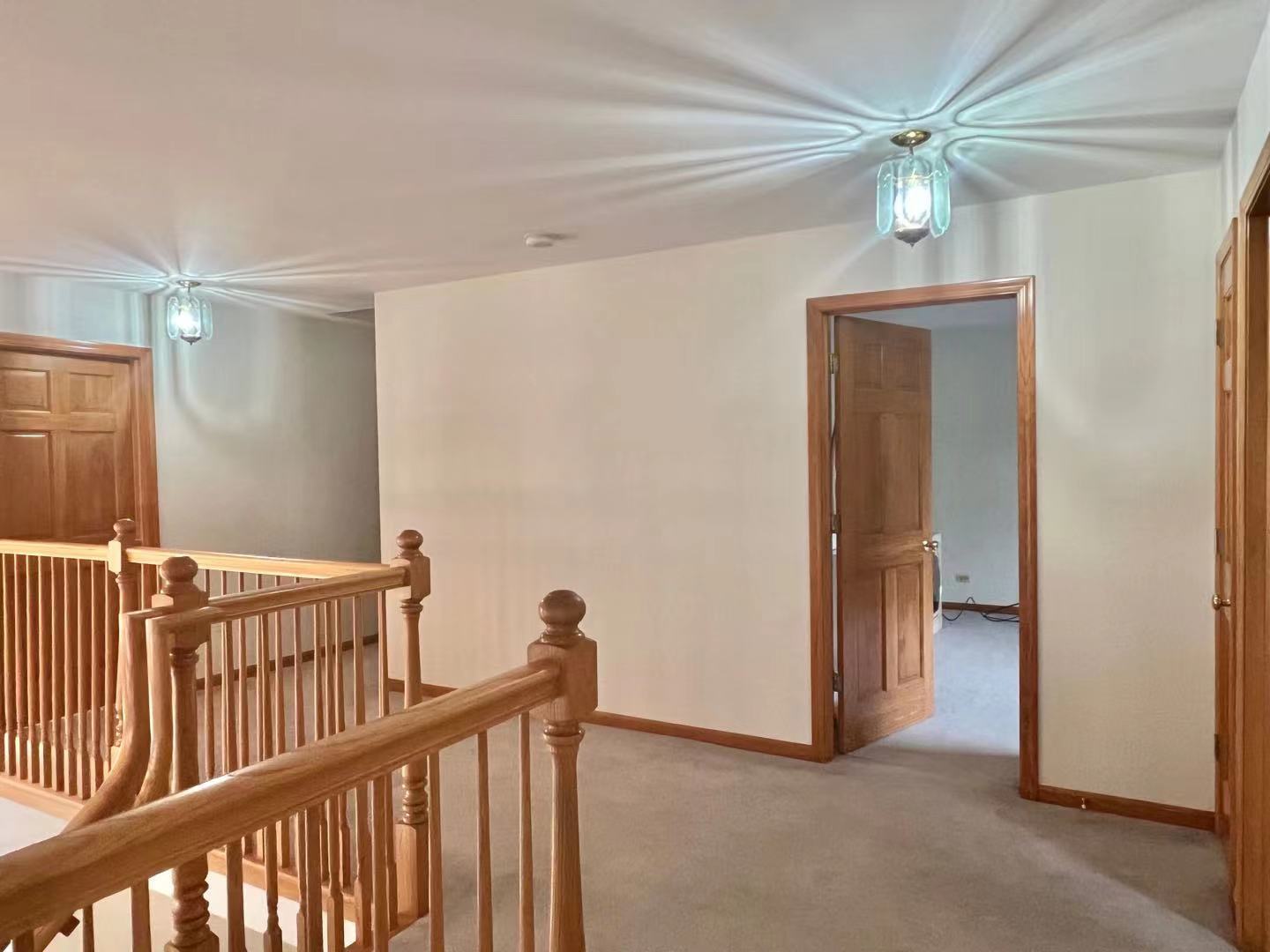 780 Sigmund Road Naperville, IL 60563 - Photo 10 of 20