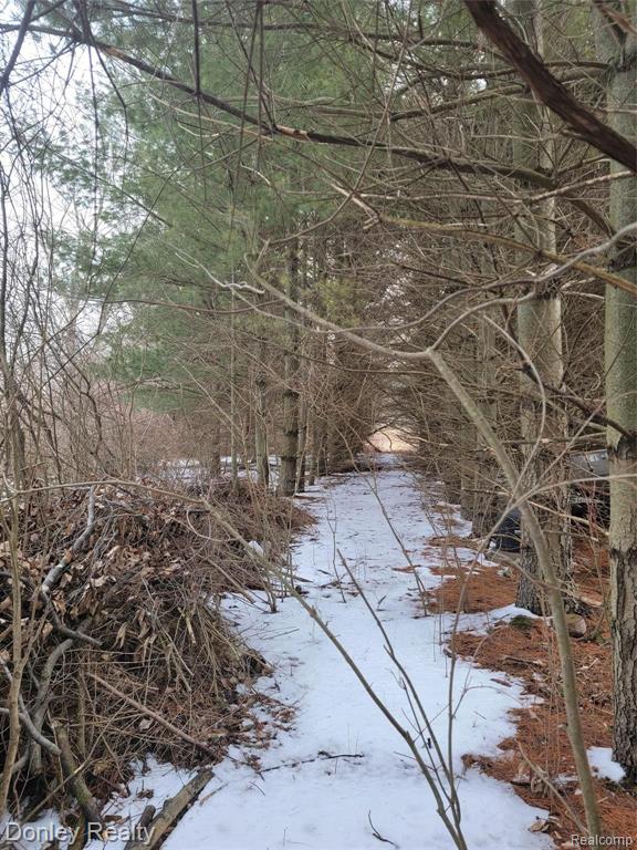 0 Mayville Road Marlette, MI 48453 - Photo 9 of 11