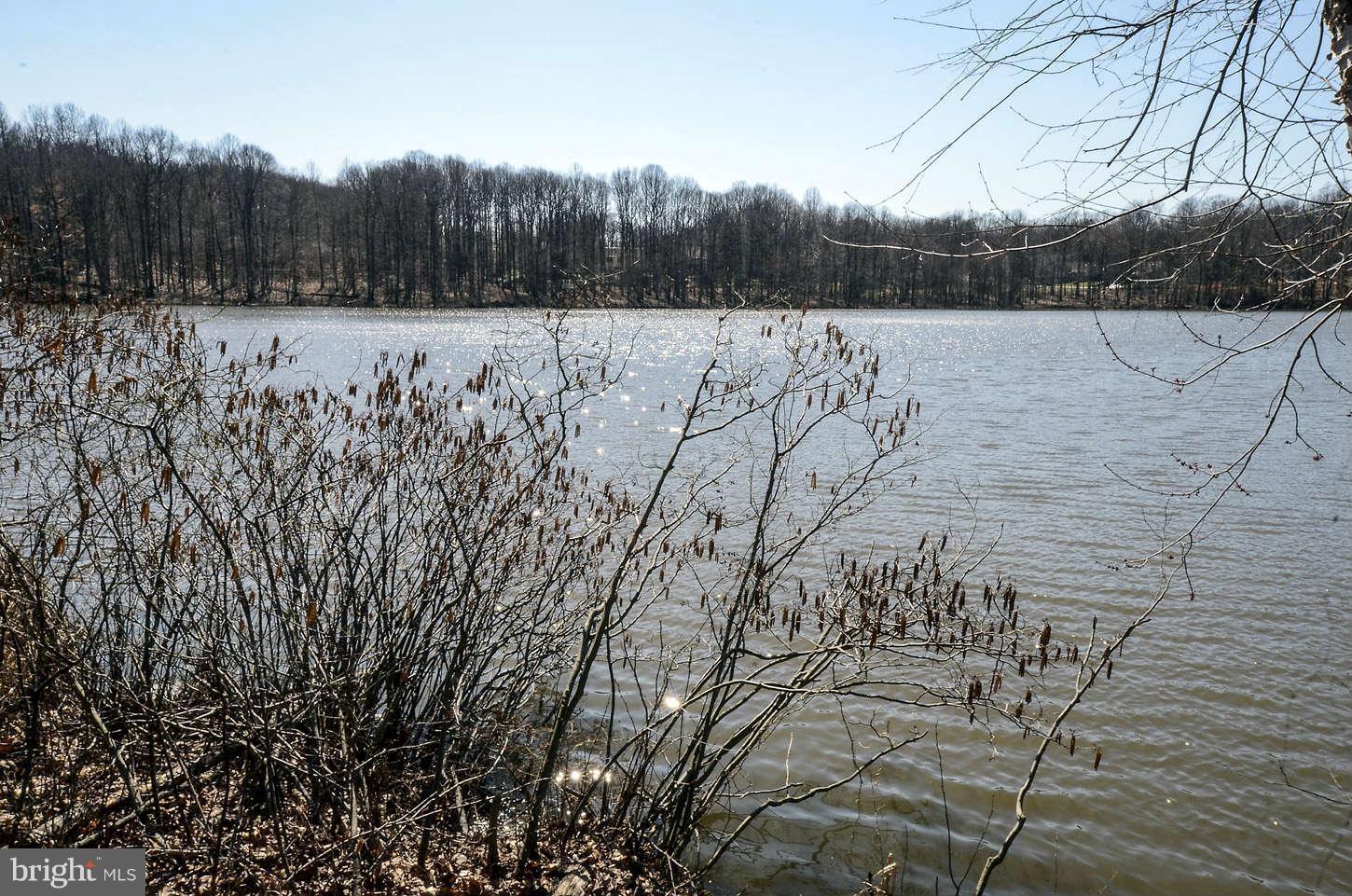 9127 Galbreth Court Springfield, VA 22153 - Photo 26 of 30 Community