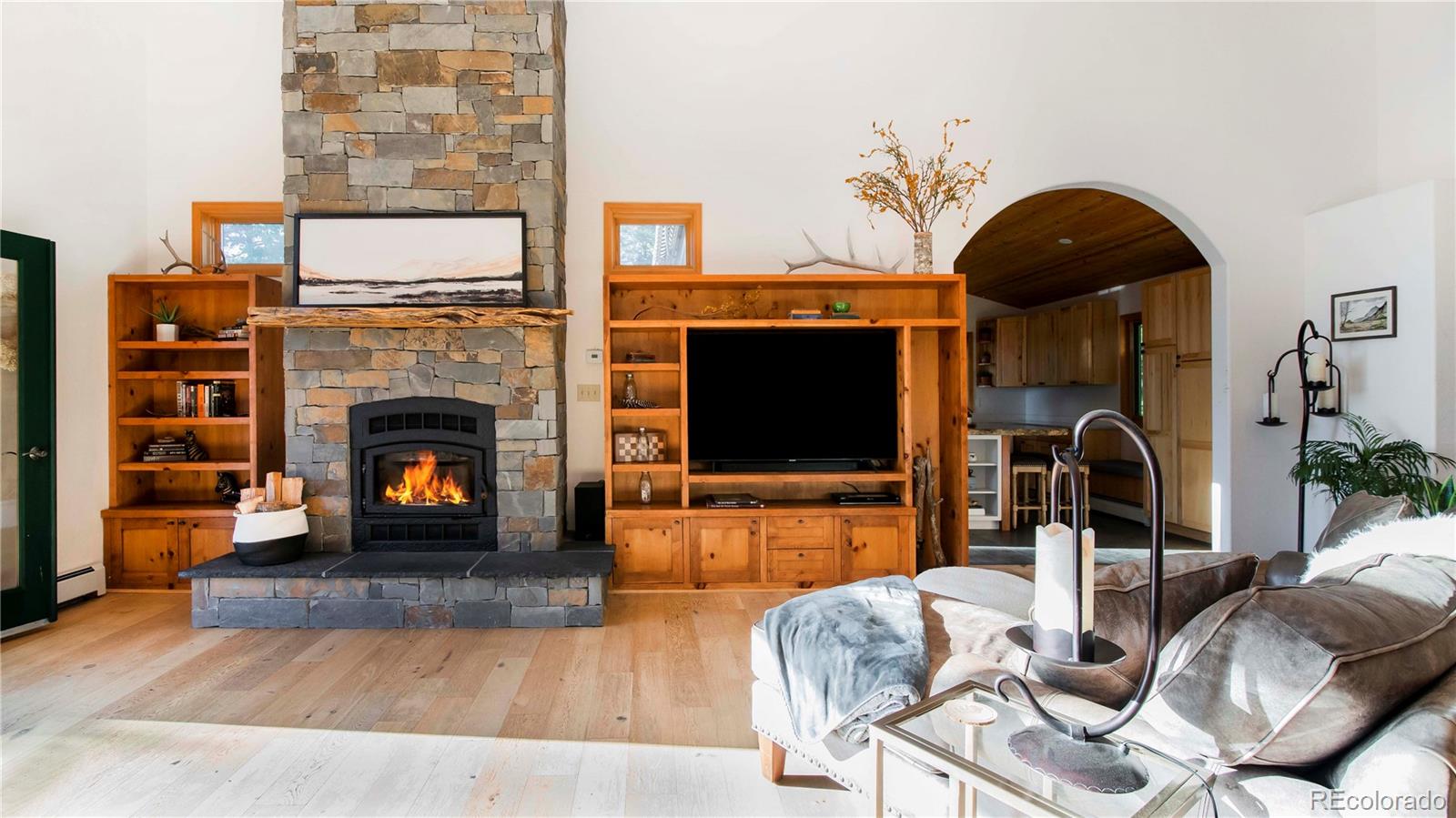 13416 Kuehster Road Littleton, CO 80127 - Photo 11 of 50 a living room with furniture a fireplace and a flat screen tv