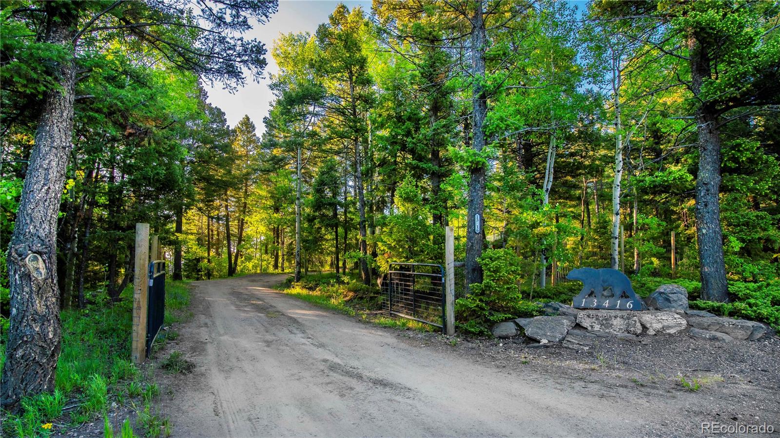 13416 Kuehster Road Littleton, CO 80127 - Photo 4 of 50 a backyard of a house with plants and large trees