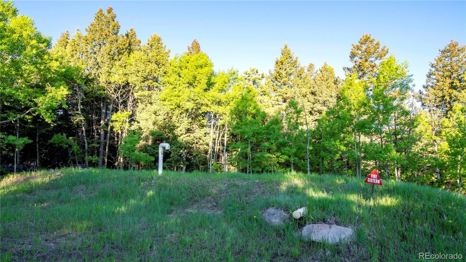 13416 Kuehster Road Littleton, CO 80127 - Photo 47 of 50 a backyard of a house with lots of green space and chair