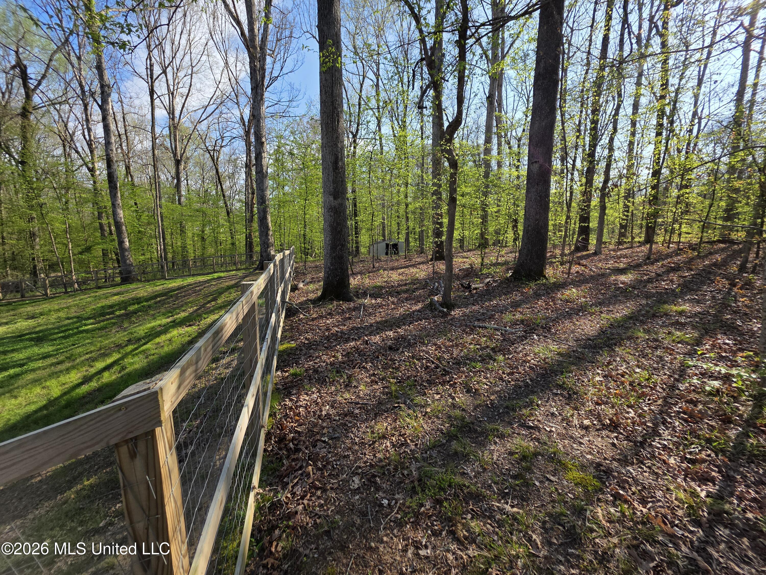 14929 Strickland Road Byhalia, MS 38611 - Photo 24 of 31 20260329_164111