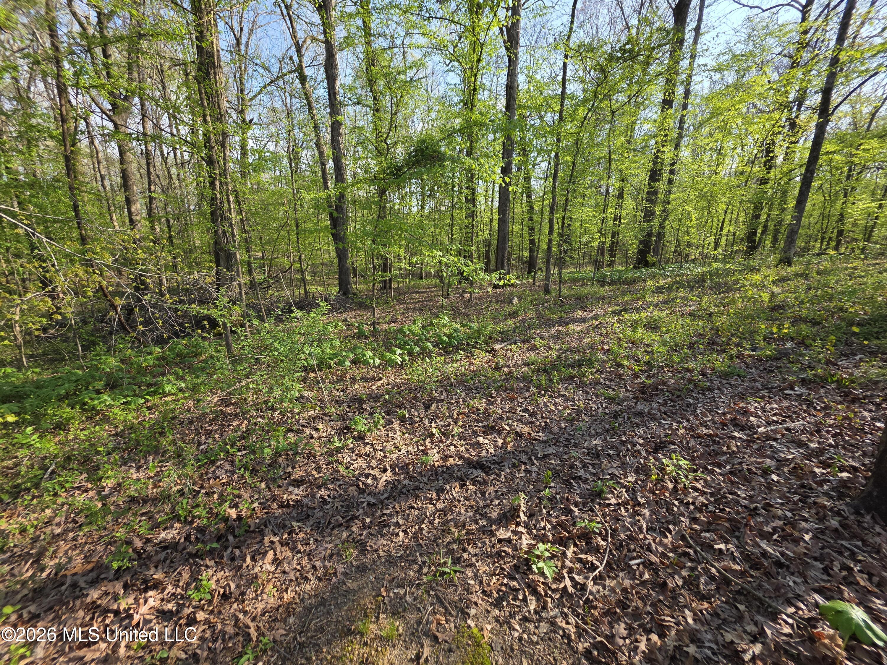 14929 Strickland Road Byhalia, MS 38611 - Photo 26 of 31 20260329_164543