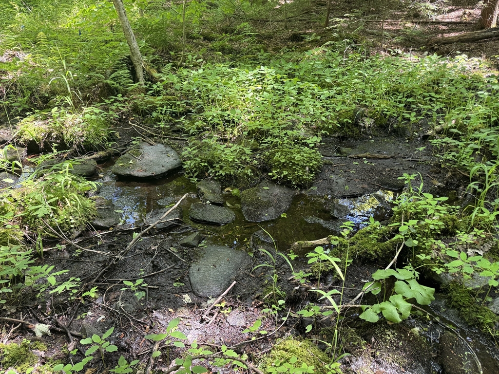 0 Old Stage Road Ashfield, MA 01330 - Photo 4 of 7