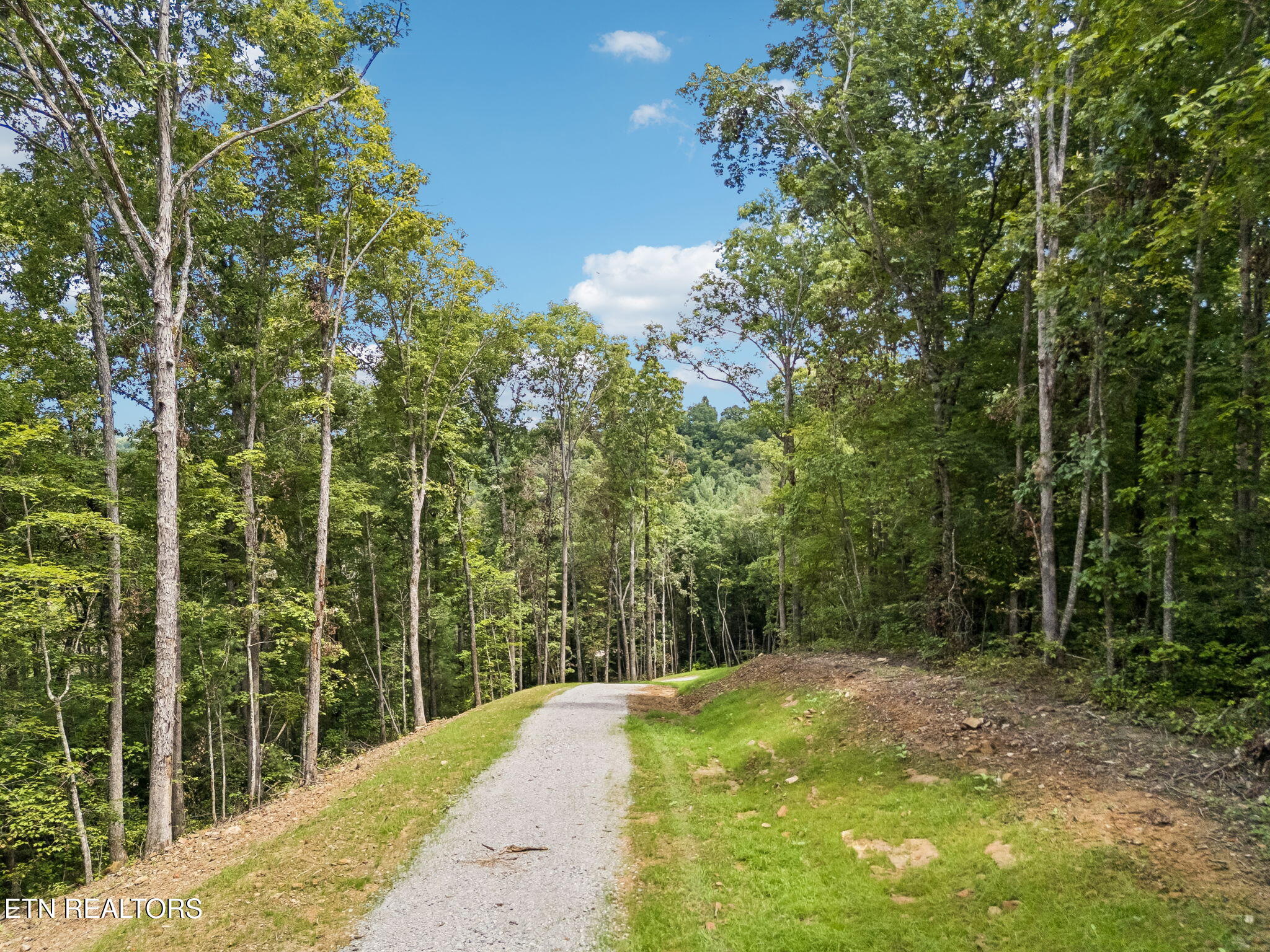 Sheep Ranch Road, Unit TRACT 7 Robbins, TN 37852 - Photo 24 of 35 30-1 Sheep Ranch Rd Lot 7 - 030