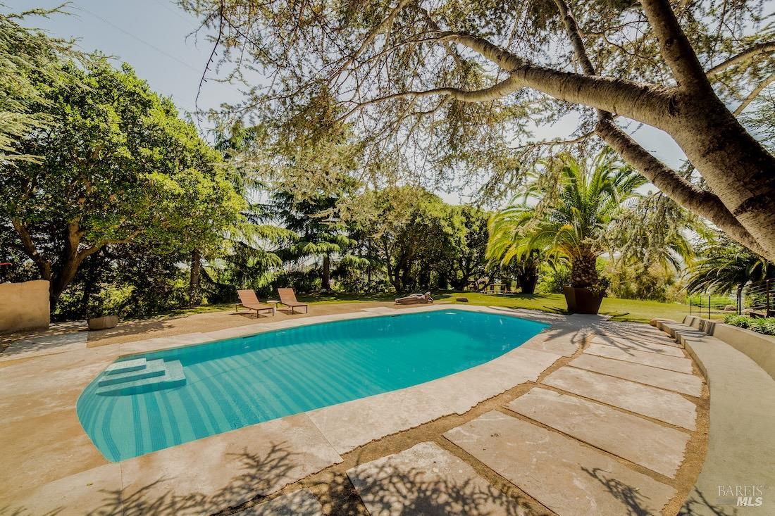 10 Morgan Lane San Rafael, CA 94901 - Photo 12 of 72