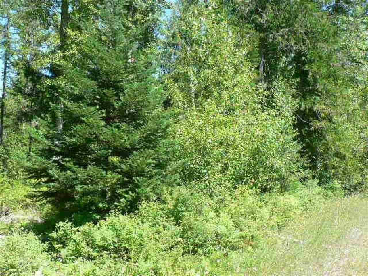 397332 State Rte 20 Cusick, WA 99119 - Photo 3 of 9