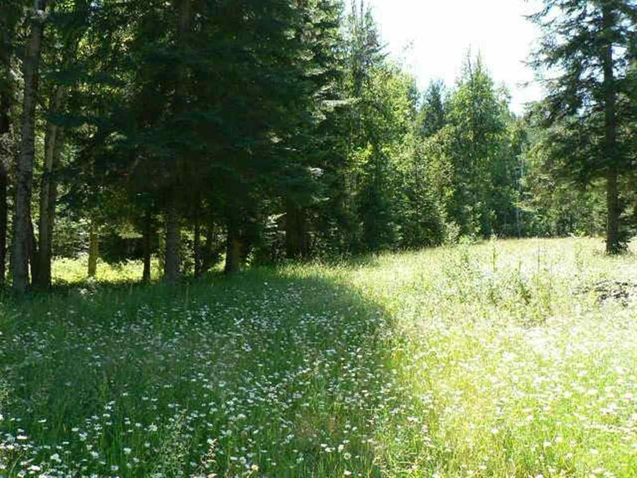 397332 State Rte 20 Cusick, WA 99119 - Photo 7 of 9