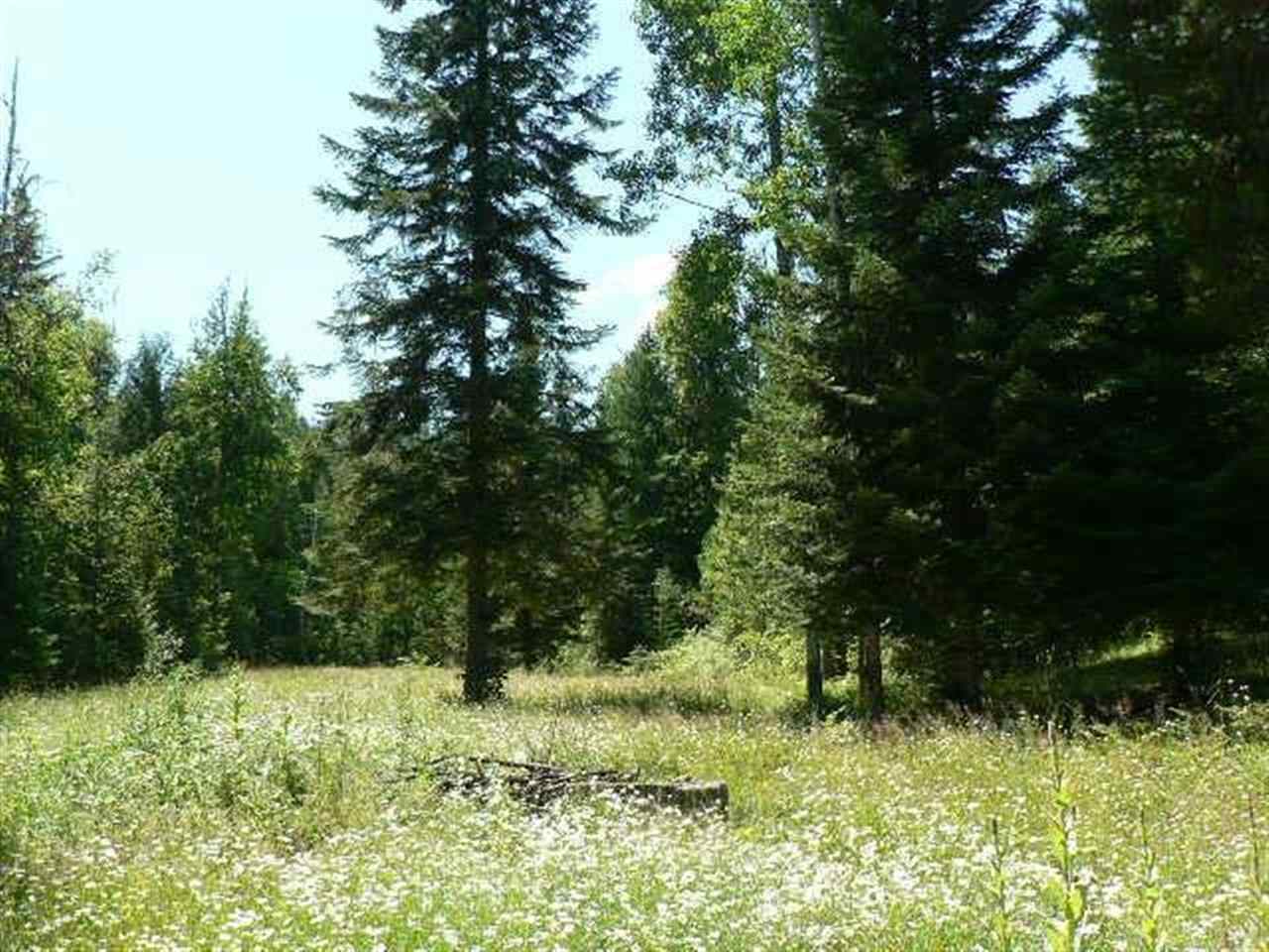 397332 State Rte 20 Cusick, WA 99119 - Photo 8 of 9