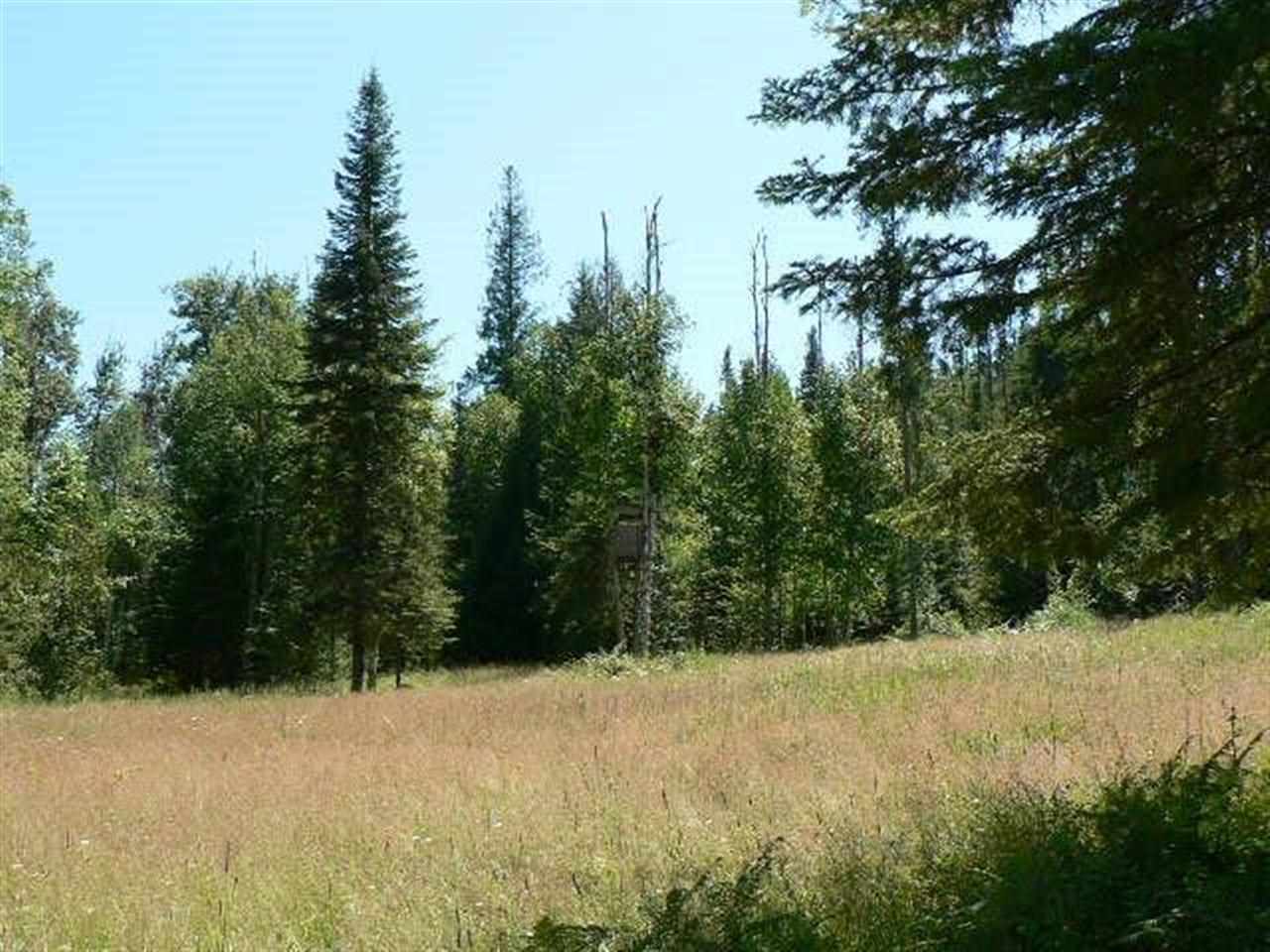 397332 State Rte 20 Cusick, WA 99119 - Photo 9 of 9