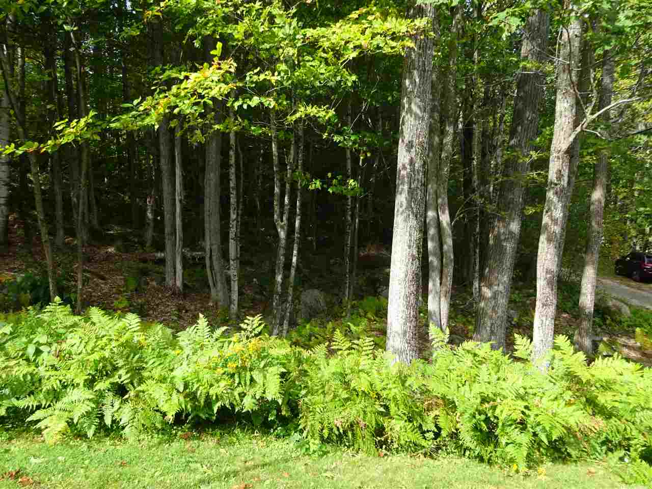 69 Ashuelot Acres Road Washington, NH 03280 - Photo 24 of 29 Gallery Image 24