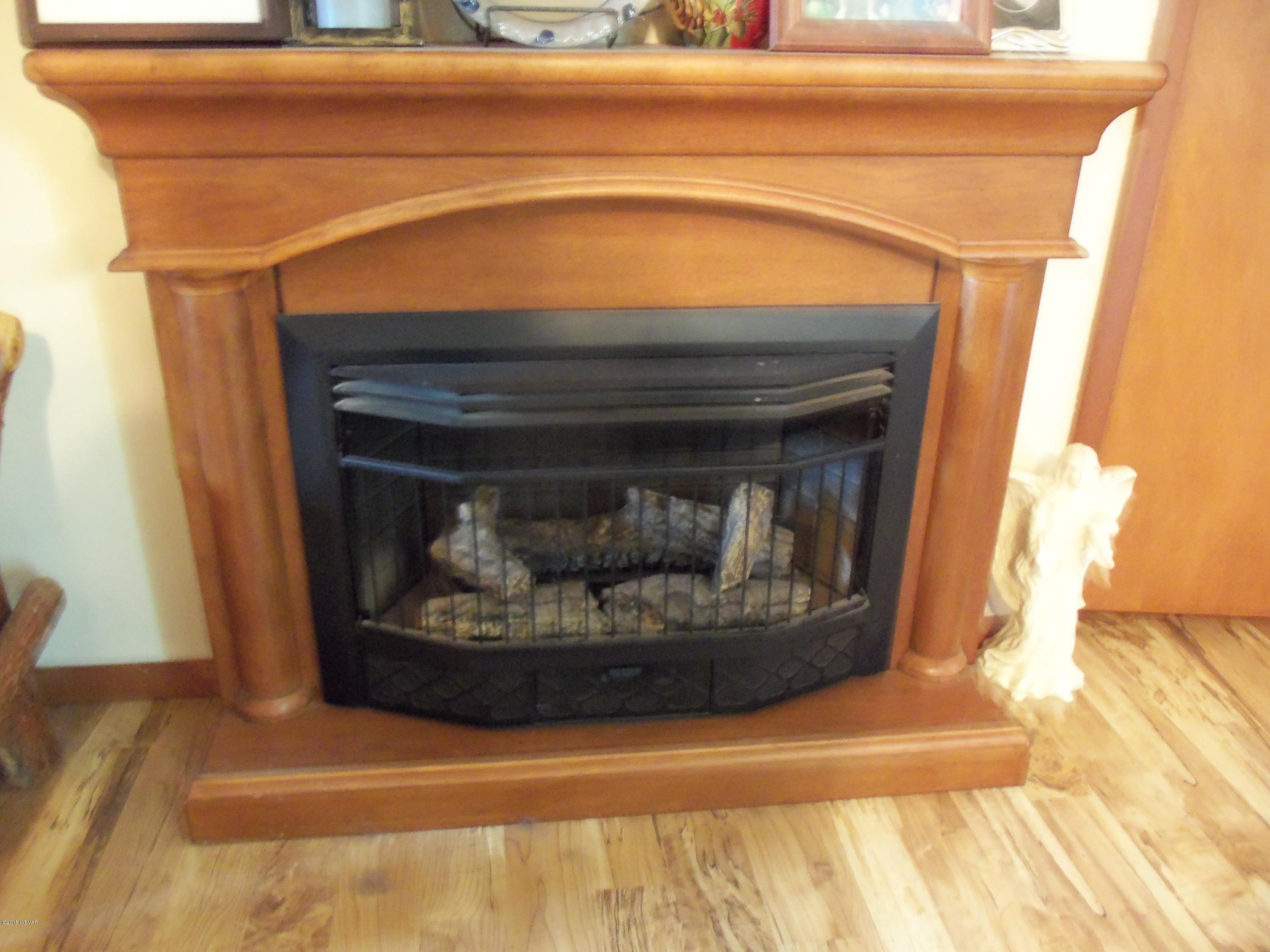 50 Edgewood Acres Road Howard, PA 16841 - Photo 4 of 30 GAS FIREPLACE