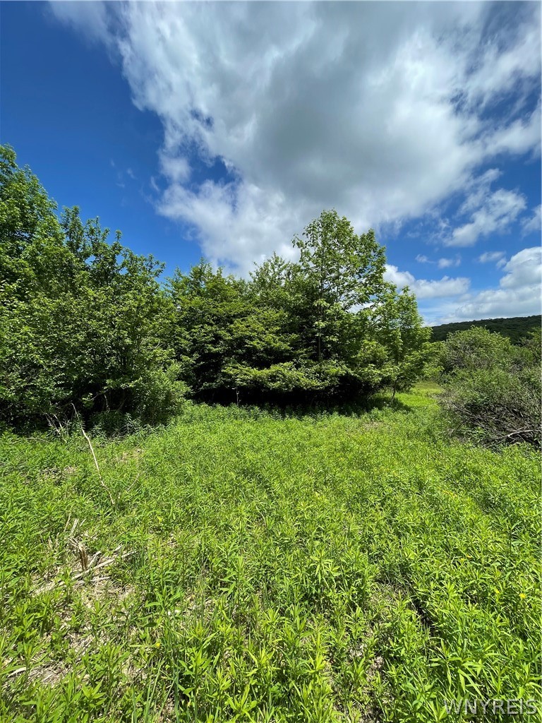 Lost Nations Road Freedom, NY 14065 - Photo 5 of 13