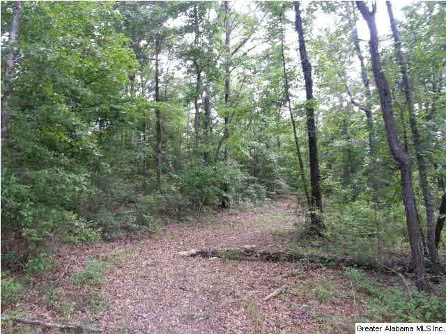 505 County Road, Unit 80 Marbury, AL 36051 - Photo 9 of 13
